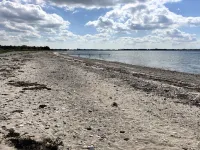 "Janick" - 150m from the sea Hotels in Martofte