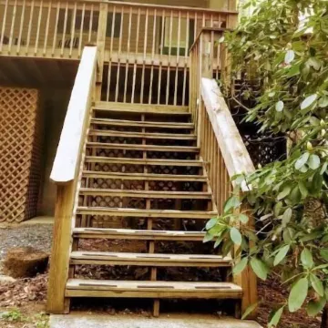 Escape to The Trees Cabin