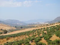 Peaceful Retreat in Alora for Families and Friends
