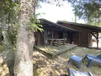 Apartment in La Bresse near River & Ski Resort - Apartments