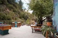 Supertramp Hostel Cusco Hotels in 