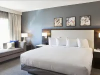 Hilton Garden Inn Minneapolis University Area Hotels near Williams Arena