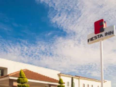 フィエスタ イン ホテル サルティーヨのホテル