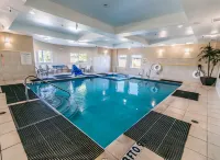 Holiday Inn HOUSTON-WEBSTER by IHG - Pools