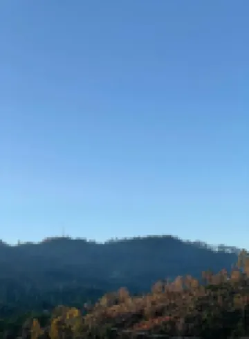 利普頓景觀旅館