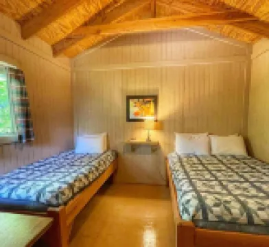 Timber Wolf Resort & Jeep Rentals