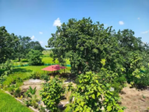 Shivansh Agro Tourism And Home stay