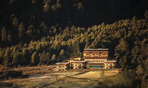 Taj Gangtey Resort And Spa Hotels in Wangdue Phodrang