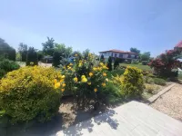 Paradiso Resort Hotels in 