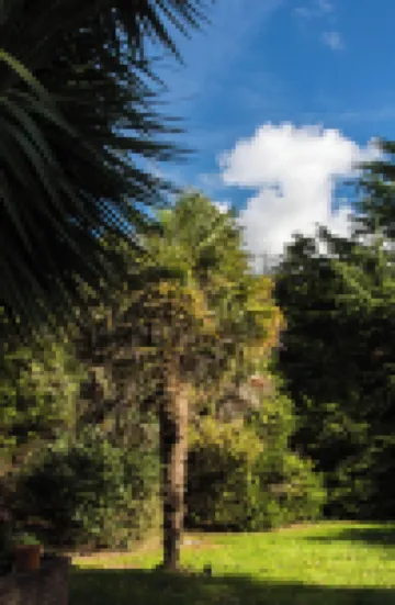 Calm Private Annex Ideal to Work, Rest & Explore Hotels in 