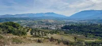 Casale Vecchio Abruzzo Countryside Spacious and Authentic Private Villa With Pool in an Olive Grove