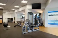 DoubleTree by Hilton Stamford - Gym