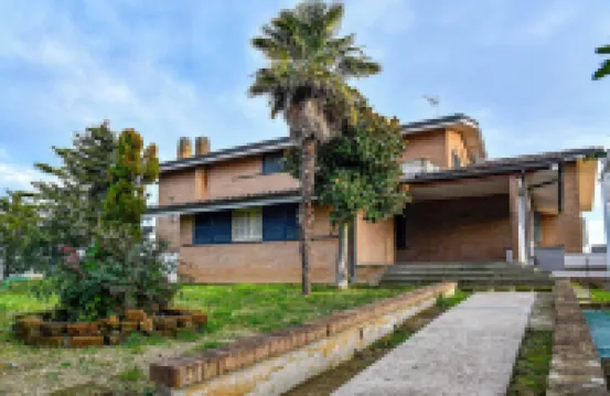 Mary Jungle Hotels in 