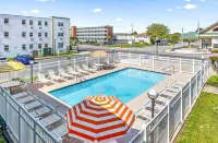 Eden Roc Motel - Merinäköala