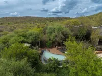 Madikwe Safari Lodge - Pools