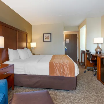 Comfort Inn & Suites Wilkes Barre - Arena