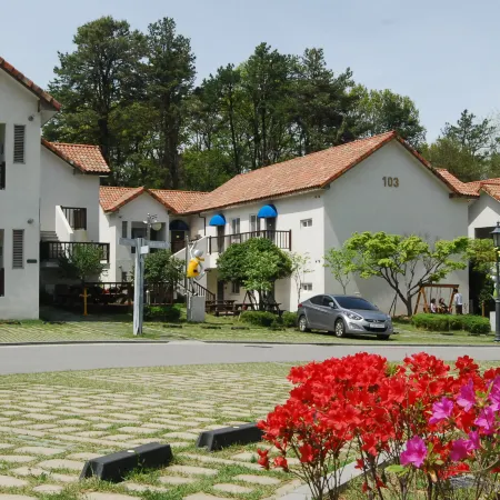 Meta Pension, DamYang