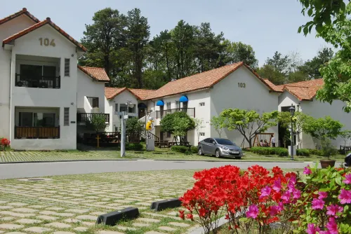 Meta Pension, DamYang