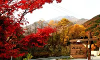Jangseong Sagyejeol Oncheon Pension
