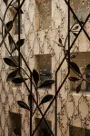 The St. Regis Budapest