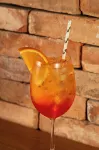 Jangal Das Araucárias Swan Design Hotel Canela - bar