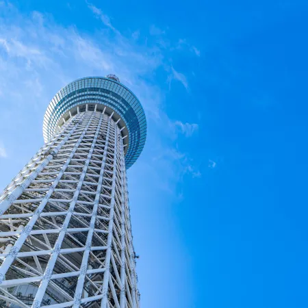 Hotel Cocoro Inn Asakusa Kuramae