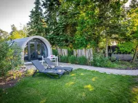 Unique Nature Lodge with Private Sauna and Unobstructed Views Hotels in Dalerveen