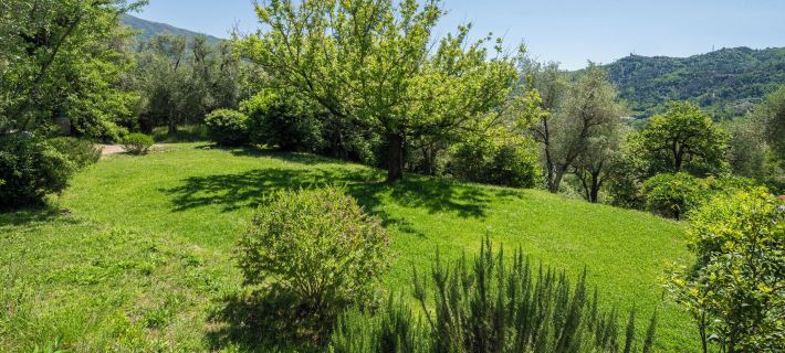 La Casa dei Limoni Hotele w: Camaiore