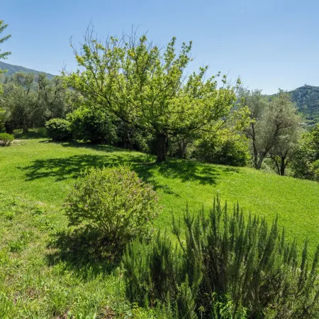 La Casa dei Limoni