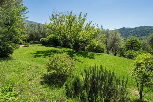 La Casa dei Limoni
