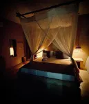 Zen Boutique Resort - gimnasio