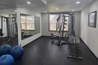 神靈山附近德盧斯套房酒店 - 健身室/gym room