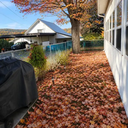 Cozy Basement Retreat in Bancroft