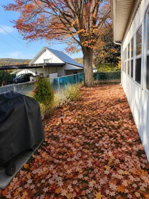 Cozy Basement Retreat in Bancroft - 3 stjerner