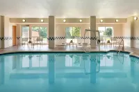 フェアフィールド・イン & スイーツ・バイ・マリオット・ダラス・メスキート - Wi-Fi