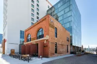 Hilton Garden Inn Denver-Union Station - Mountain view