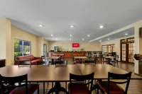 Red Roof Inn & Suites Albany, GA - Wifi