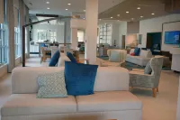 Hilton Garden Inn Tampa - Wesley Chapel - Pet friendly