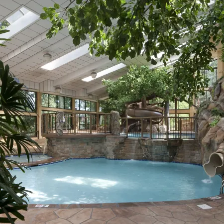 The Park Vista - a DoubleTree by Hilton Hotel - Gatlinburg