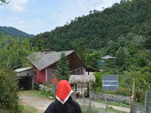 Sapa 背包客民宿徒步旅行