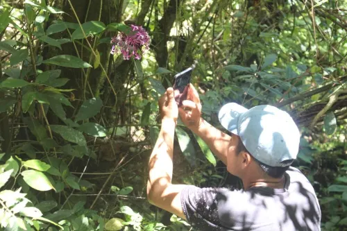 Gardenias de Gocta - Homestays