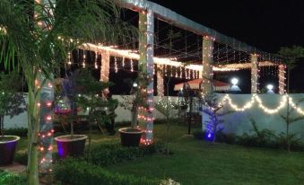 a well - decorated gazebo with christmas lights and a tree in the background , illuminated by lights at Hotel Taj