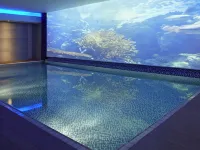Novotel London Blackfriars - piscina