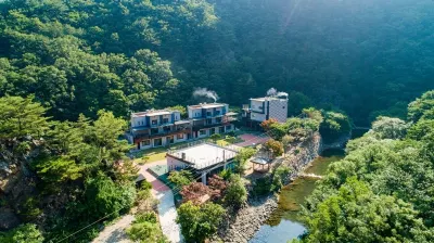 Yeongdong for Elise Pension Hotels near Yeongdong-Yeog
