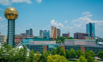 Fairfield Inn & Suites Knoxville/East