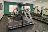 Holiday Inn Express & Suites OMAHA WEST by IHG - gimnasio