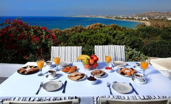 Villa Paradise in Naxos