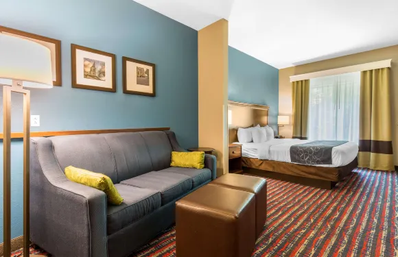 費爾維尤高地舒適套房酒店