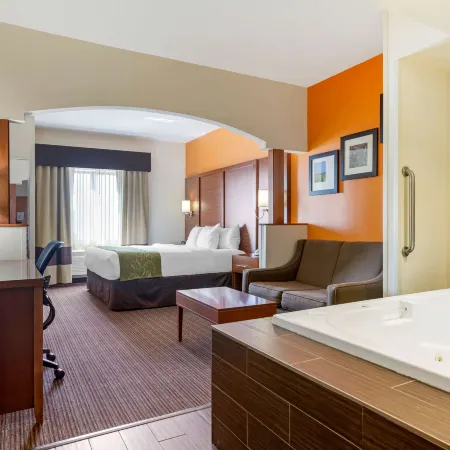 Comfort Suites Stevensville - St Joseph