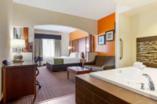 Comfort Suites Stevensville - St Joseph